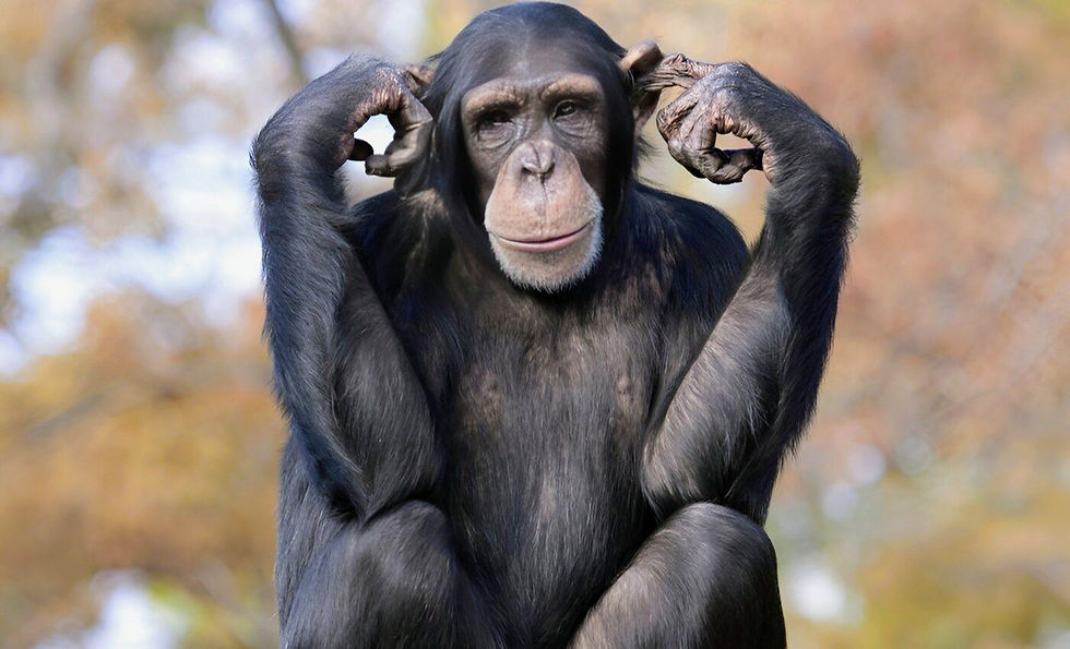 Close-up of animal reacting to surroundings demonstrating instinct behavior