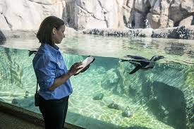 Scientist observing animals in the wild taking notes on behavior