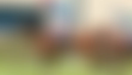 2024年6月26日皮亞士紀念挑戰盃賽日鬥得激烈馬迷福 追畢業纜不值博