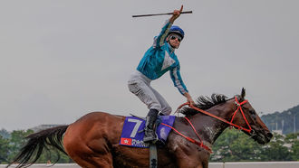 2024年11月17日中銀香港賽日