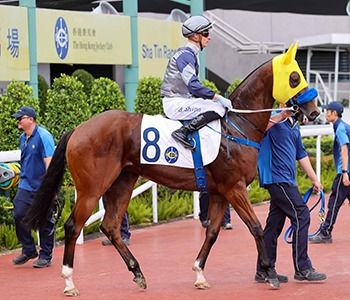 5場2號銀刺勇士今季除面箍後成績突飛猛進