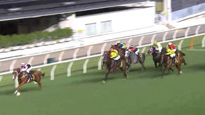 今日第9場6號「好友心得」上季尾連續3 場啡燈落飛