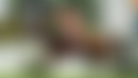 2024年5月11日九龍木球會百週年紀念盃賽日
練馬師執位早晚來 替補人選早有玄機