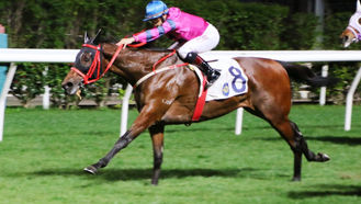 興哥又送上一匹「機緣巧俠」👏👏👏