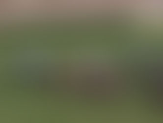 今日第3場1號「昭易搵」