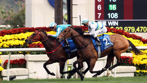 2026年1月25日百週年紀念短途盃及董事盃賽日