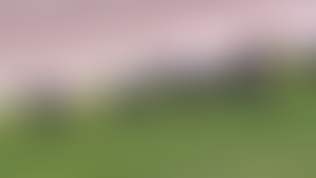 1場5 號精英至尊