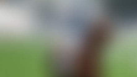 2026年1月4日保良局盃及洋紫荊短途錦標賽日