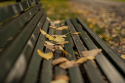 Autunno_Parco_Lambro-34