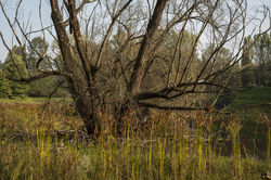 Autunno_Parco_Lambro-7