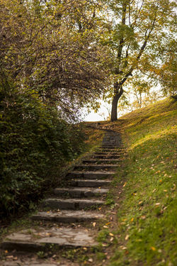 Autunno_Parco_Lambro-19