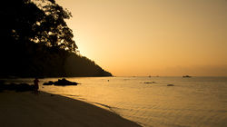 Thaisole_discovery-73