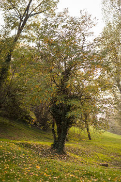 Autunno_Parco_Lambro-35