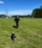 Kvinne som løper med hund.jpg