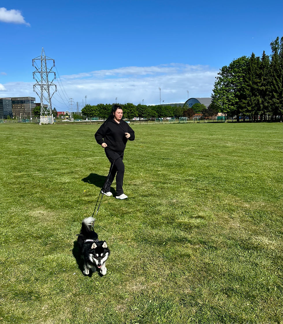 Kvinne som løper med hund.jpg