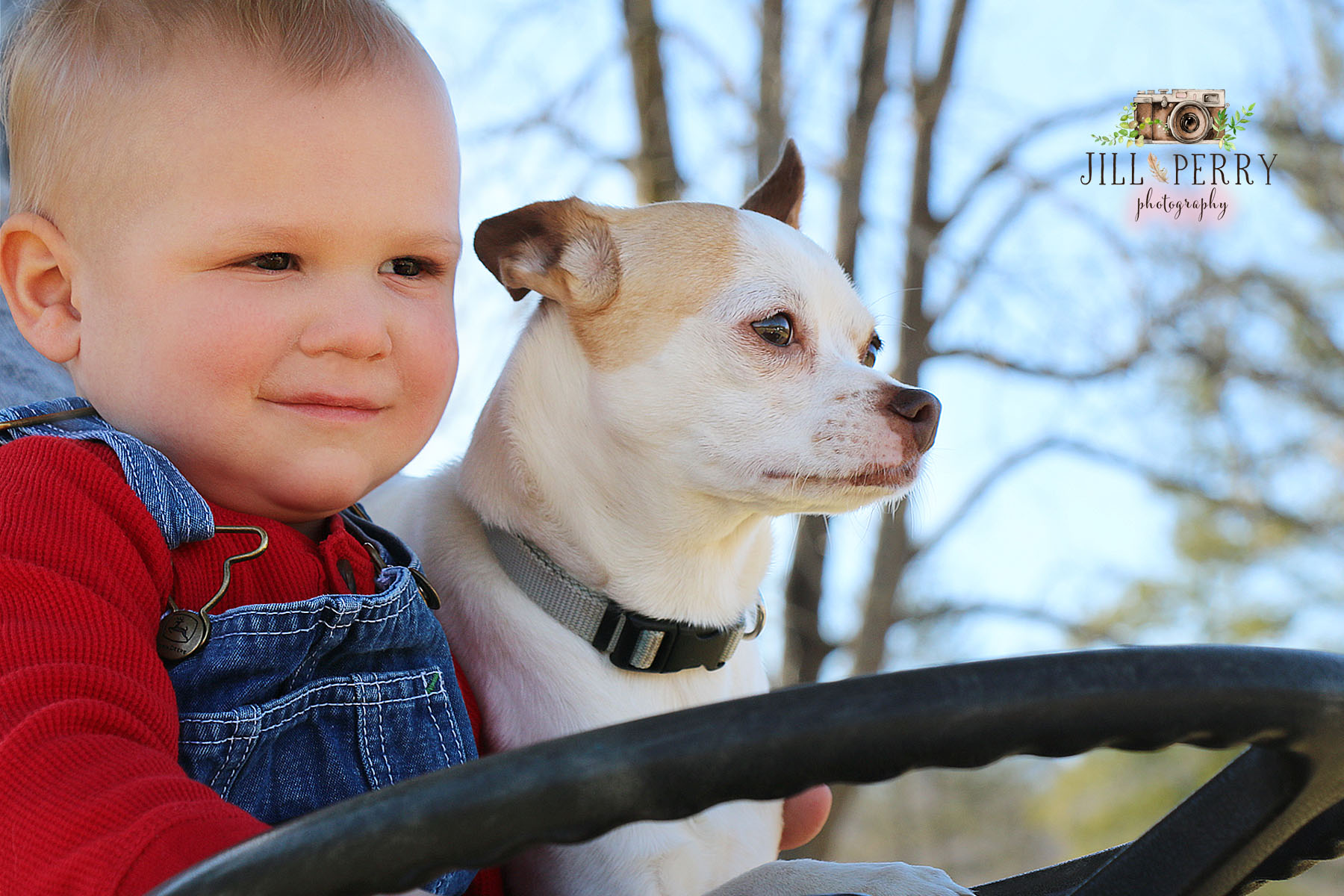 A Boy and his Dog