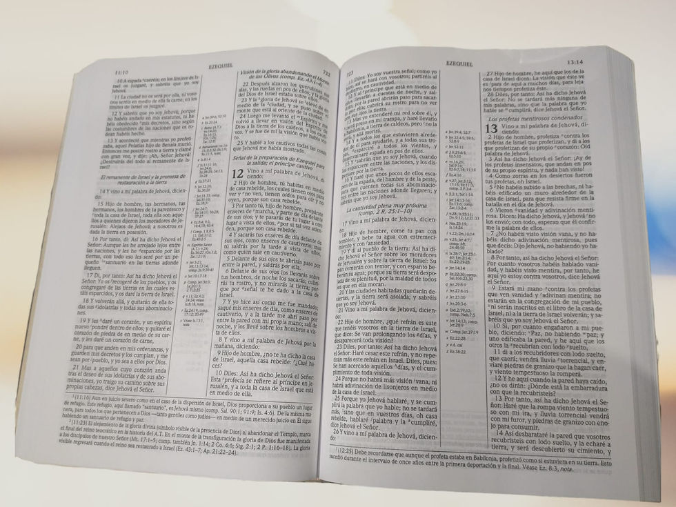 Miniatura: BIBLIA DE ESTUDIO SCOFIELD
