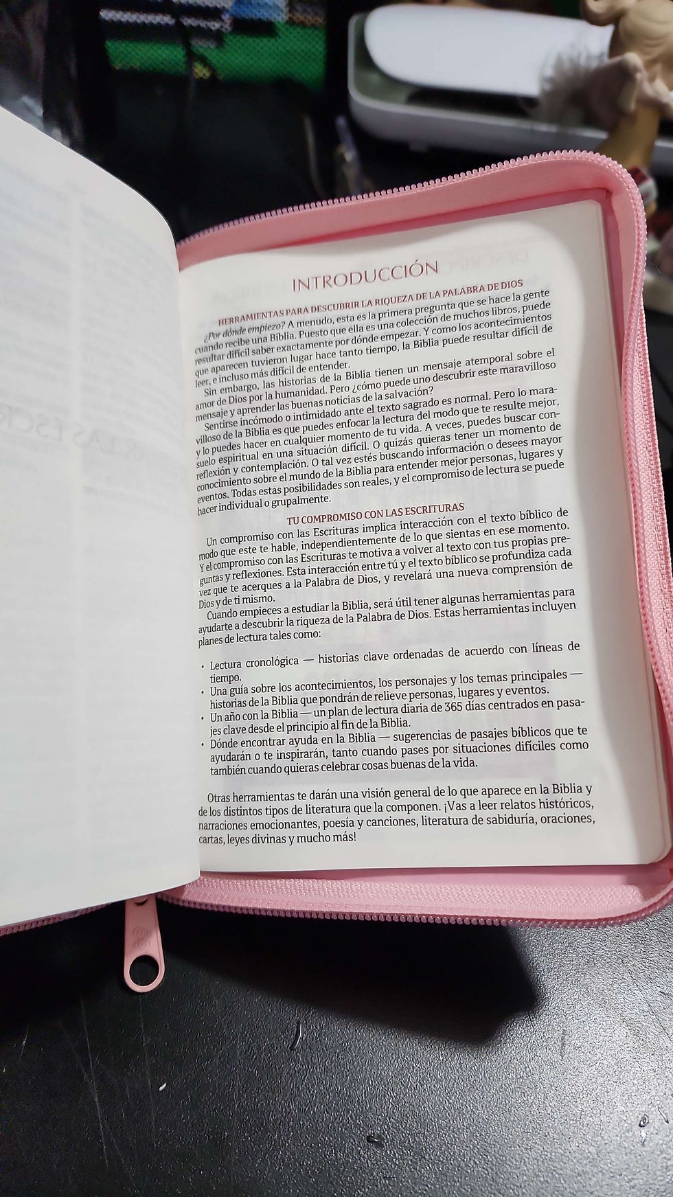 Miniatura: Biblia para 15 añera