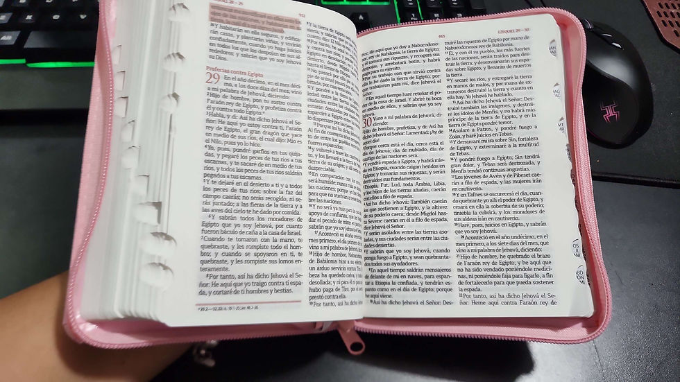 Miniatura: Biblia para 15 añera