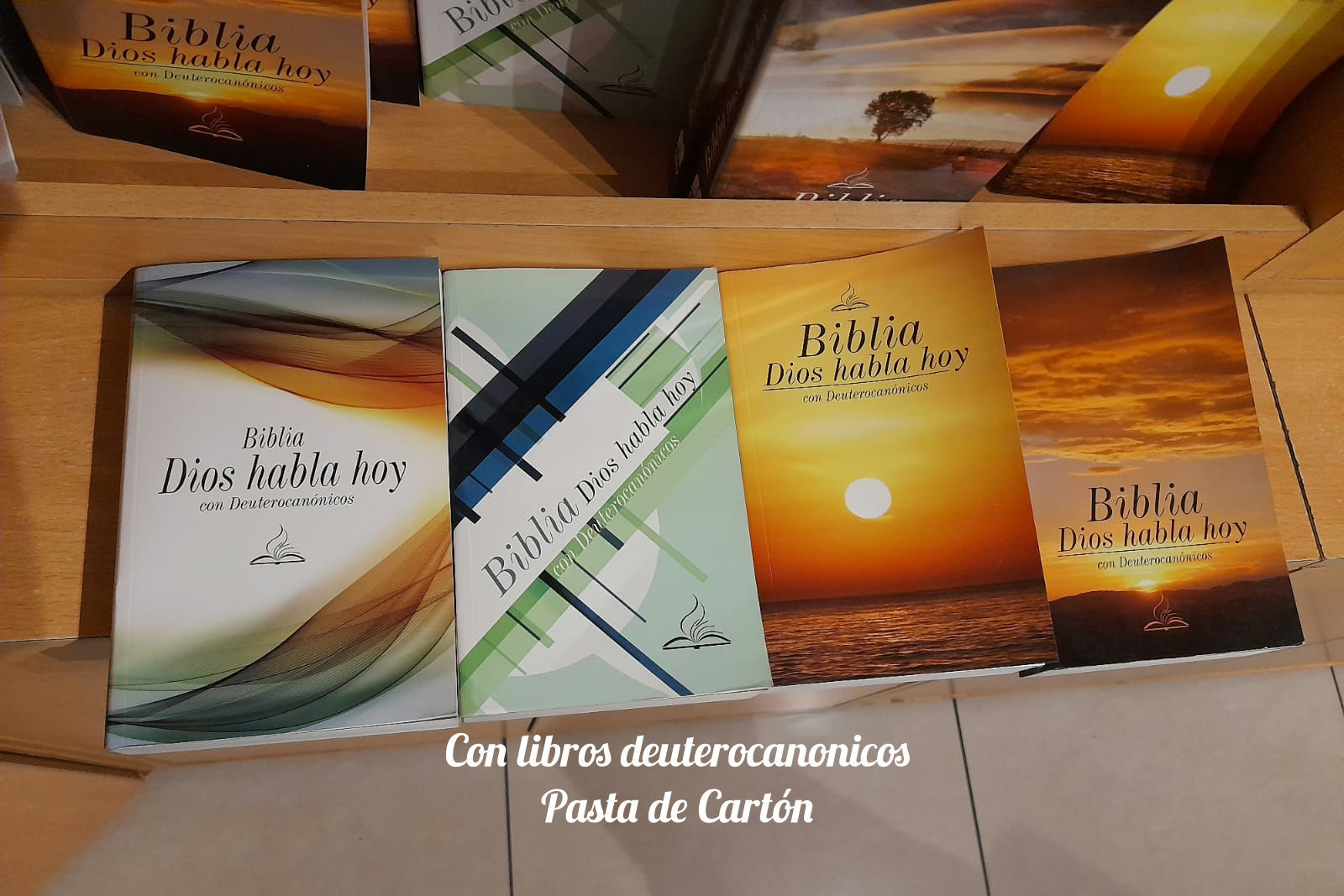 Biblia con libros Deuterocanonicos 