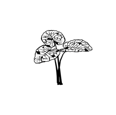 Asset 5.png