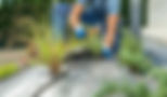 Untitled-1-02.jpg