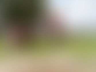 Heartbeat T1W4 19/02/26