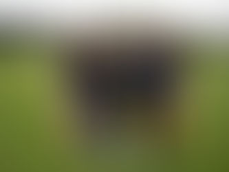 Football's in the Family