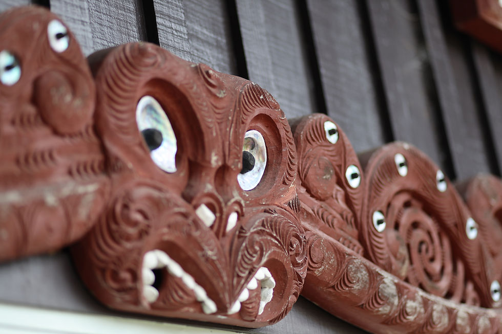 Tertiary Pathways for Māori & Pasifika learners