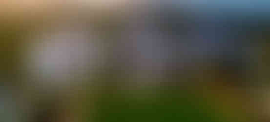 Round Hill Hotel & Villas