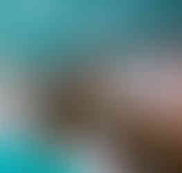 Vizcaya Museum & Gardens