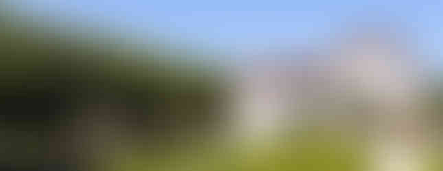 Vizcaya Museum & Gardens