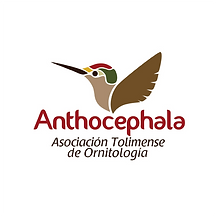 Asociación_tolimense_de_ornitología_Anth
