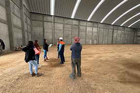 Consultoría en proyectos estructurales industriales