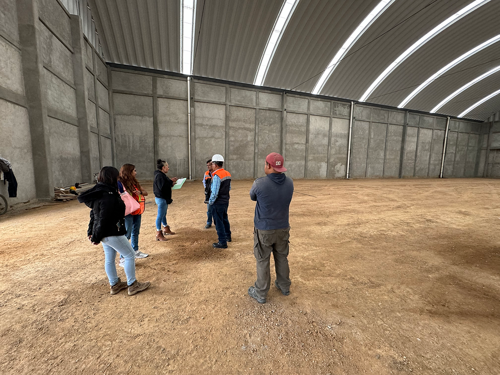 Proyecto estructural naves industriales