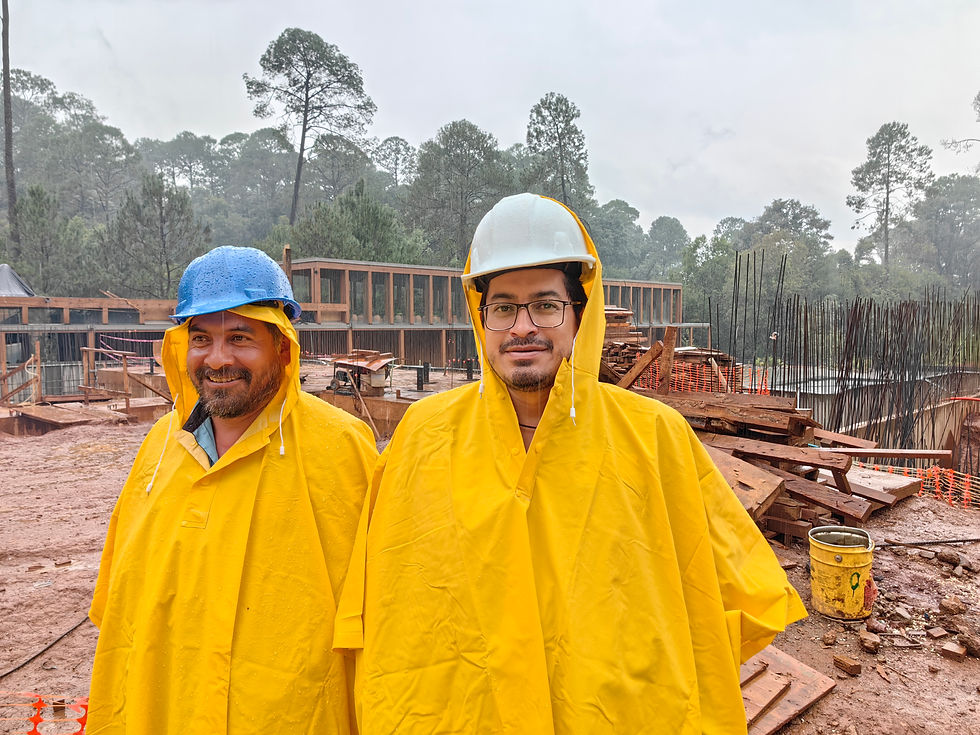 Pro Ingeniería Civil Ingenieros estructuristas CDMX