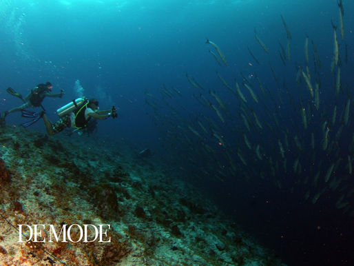 "A GUIDE TO THE BEST DIVE SITES IN THE WORLD": TRAVEL WITH DE MODE