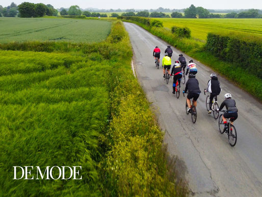 "THRIVING THROUGH CHANGE - RESILIENCE IN TIMES OF TRANSITION": DE MODE GLOBAL