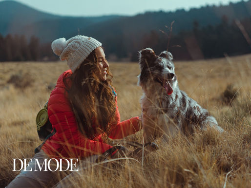 "TRAVELING WITH PETS - TIPS FOR TAKING YOUR FURRY FRIENDS ON THE ROAD": TRAVEL WITH DE MODE