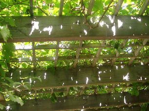 Sukkot: Mindfulness, Sanctuary, and the Refuge of Vulnerability