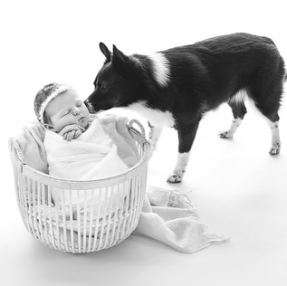 NEWBORN & FAMILY | Studio