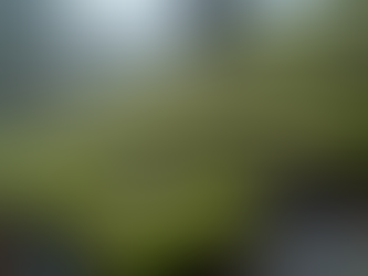 Affordable Roof Care Tips: How to Achieve Affordable Roof Maintenance