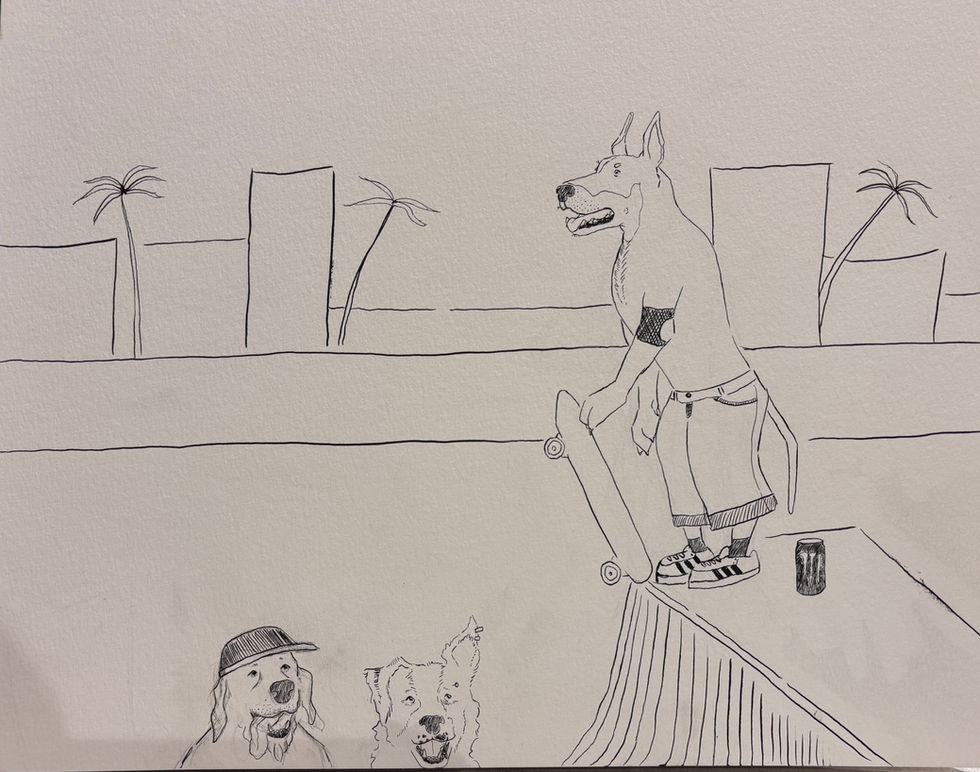 Dogs in the Park 2025