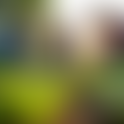 How Climate Change Affects Our Daily Lives