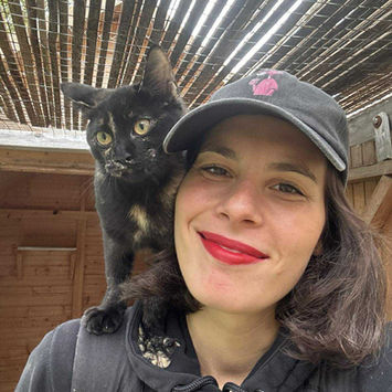 Lieu de vacances chat entre Saint Nazaire / Pornichet Proche Guérande La Baule Hotel félin Pension individuelle Chatterie familiale Garde Chats Bien-être 44 Loire-Atlantique