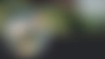 The cross-over episode: The Independent interviews Cleveland County News