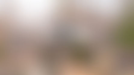 What's all the buzz? Local drone pilot turns fun into a way to help businesses