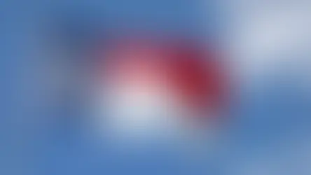 NC State Flag flying overhead 