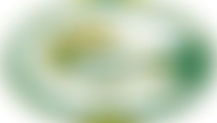 CHS Student parking passes on sale