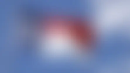 North Carolina State Flag